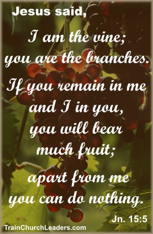 Get Real About Serving - We Need to Abide in Christ