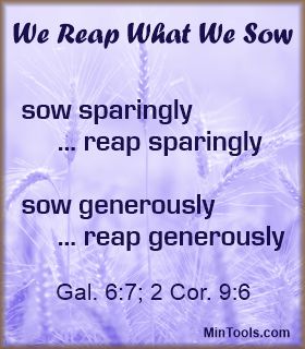 Reaping What We've Sown into Small Groups
